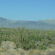 Baja2011 246 : Baja2011